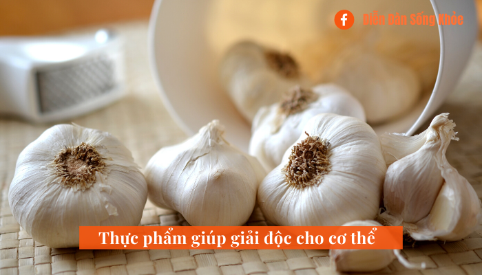 Ngoài phương pháp vận động thì những loại thực phẩm nào giúp cơ thể giải độc?